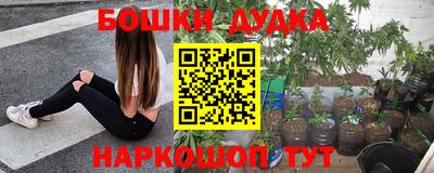 ГАЛЛЮЦИНОГЕННЫЕ ГРИБЫ Новозыбков
