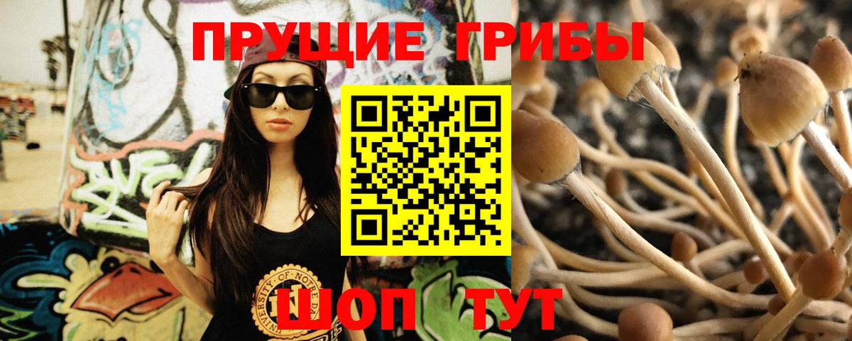 Галлюциногенные грибы MAGIC MUSHROOMS Рузаевка