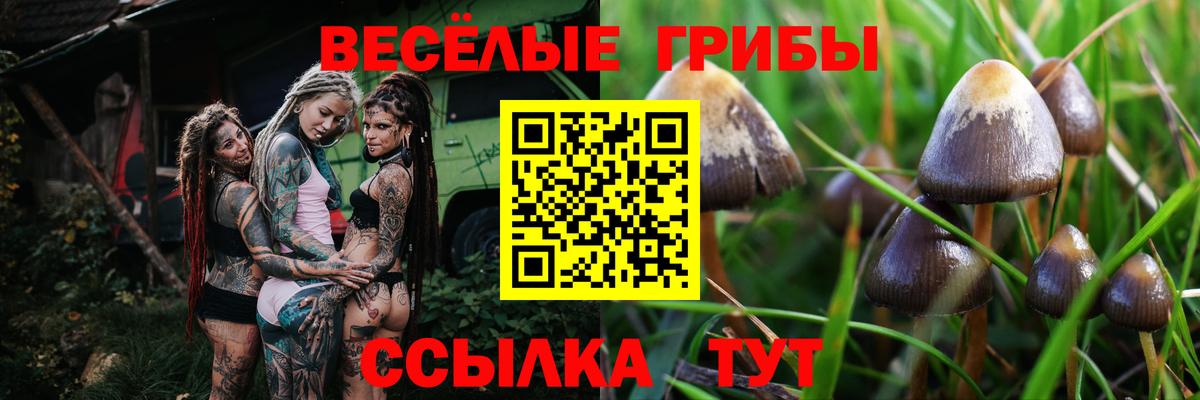 Псилоцибиновые грибы прущие грибы  Вход с VPN  Рузаевка  Галлюциногенные грибы прущие грибы 